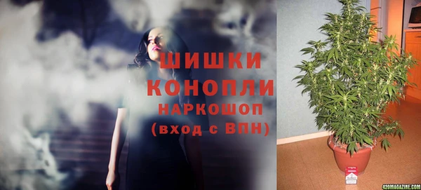 шишки Балахна