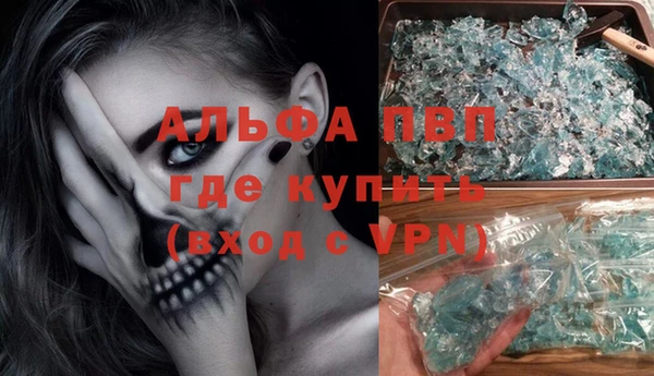 индика Белокуриха