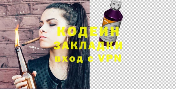 шишки Балахна