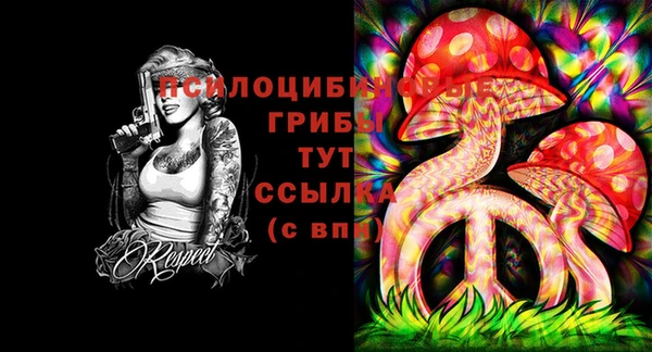шишки Балахна