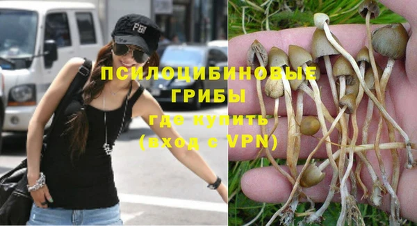 шишки Балахна