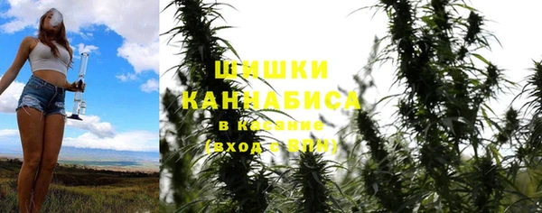 индика Белокуриха